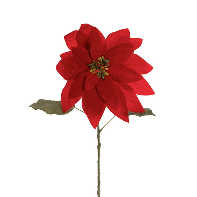 Poinsettia Stem Red (30cmDx74cmH)