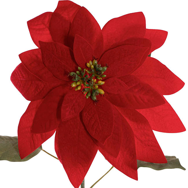 Poinsettia Stem Red (30cmDx74cmH)