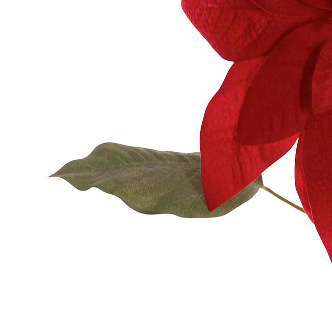 Poinsettia Stem Red (30cmDx74cmH)