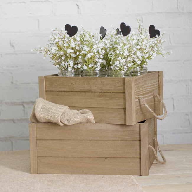 Gypsophila Baby's Breath Bunch White (30cmH)