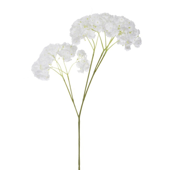 Gypsophila Baby's Breath Spray White (70cmH)