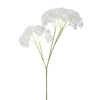 Gypsophila Baby's Breath Spray White (70cmH)