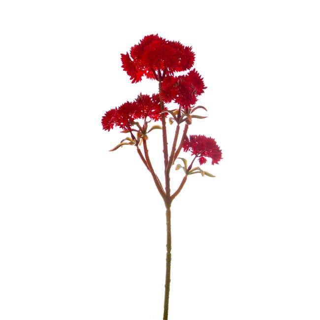 Mini Sedum Spray (Billy Button) Bunch Red (34cm)