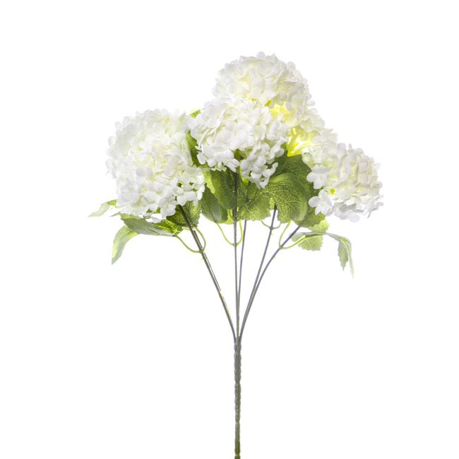 Guelder Ball Bunch x7 Heads White (30cmH)