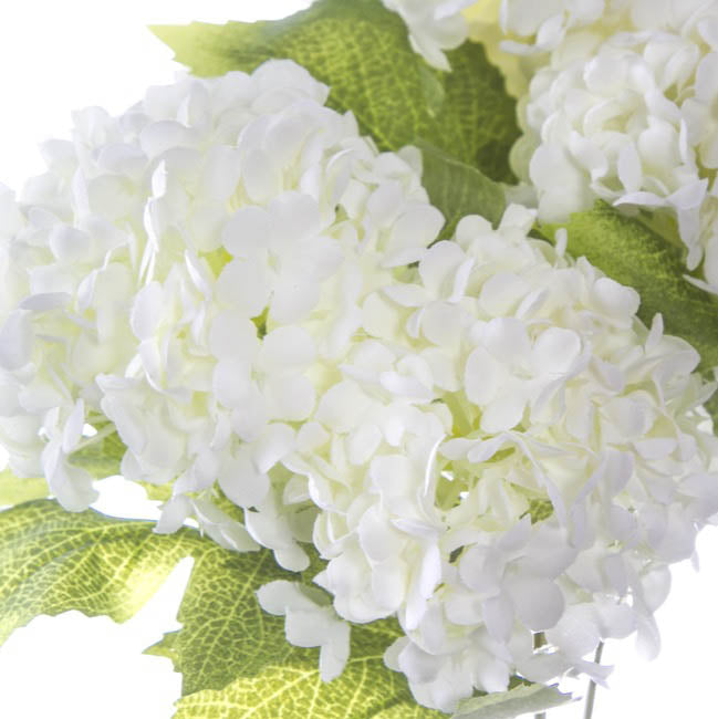 Guelder Ball Bunch x7 Heads White (30cmH)