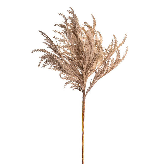 Reed Spray Soft Almond (81cmH)