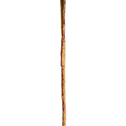 Reed Spray Soft Almond (81cmH)