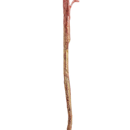 Reed Spray Soft Pink (81cmH)