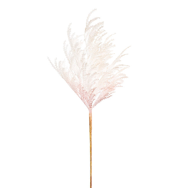 Reed Spray Cream (81cmH)