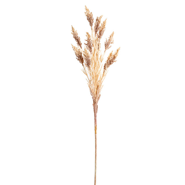 Wheat Spray Soft Almond (104cmH)