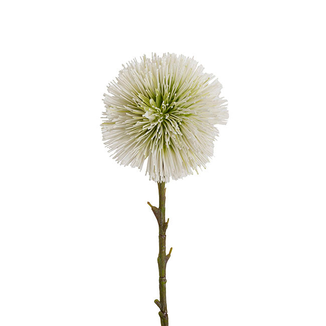 Onion Ball Stem Green Cream (15cmDx47cmH)