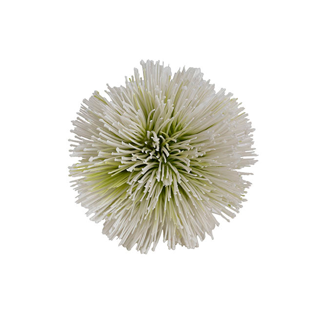 Onion Ball Stem Green Cream (15cmDx47cmH)