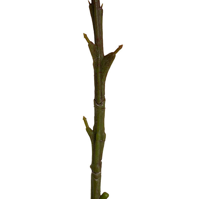 Onion Ball Stem Green Cream (15cmDx47cmH)