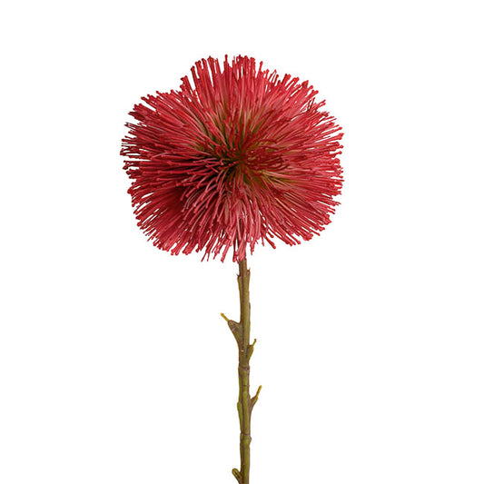 Onion Ball Stem Red (47cmH)