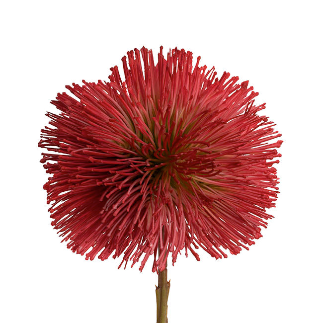Onion Ball Stem Red (47cmH)