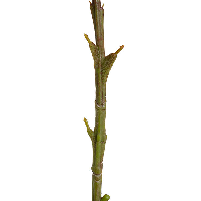 Onion Ball Stem Red (47cmH)