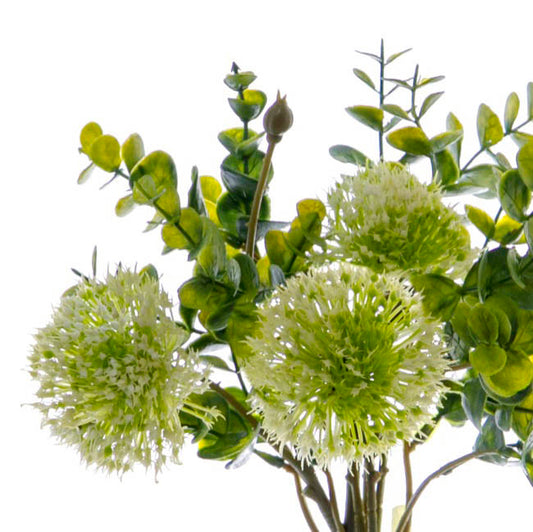 Eucalyptus Onion Ball Bouquet Green (34cmH)