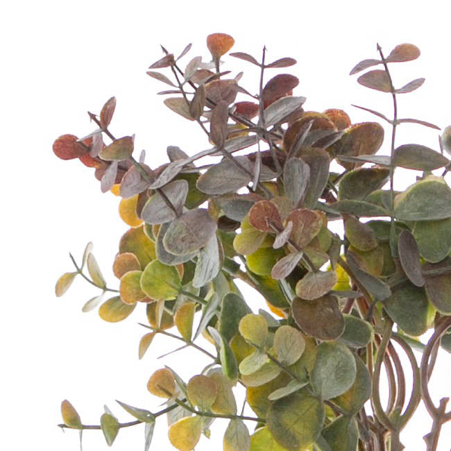 Eucalyptus Mini Leaf Bouquet x6 Green Purple (34cmH)