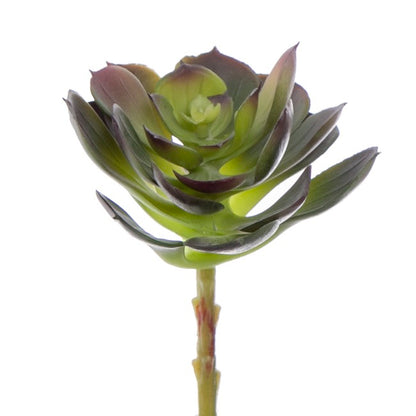 Artificial Succulent Echeveria Red Green (12x15cmH)