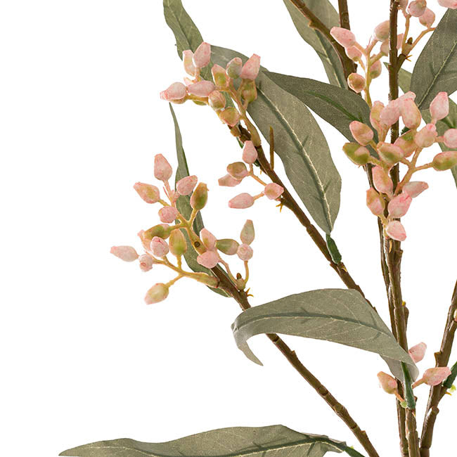 Eucalyptus Bud Spray Pink (78cmH)