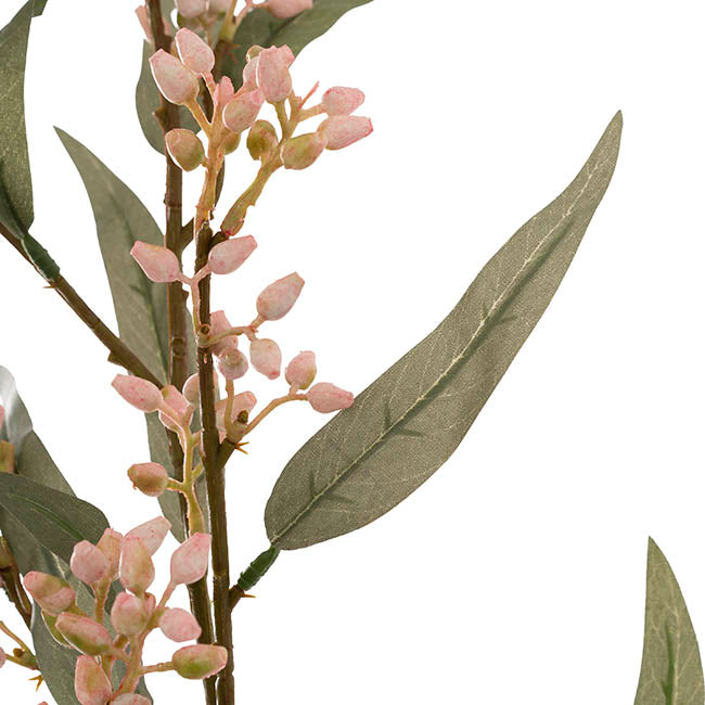 Eucalyptus Bud Spray Pink (78cmH)