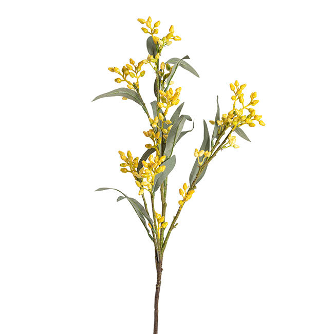 Eucalyptus Bud Spray Yellow (78cmH)