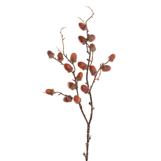 Acorn Branch Spray Brown (60cmH)