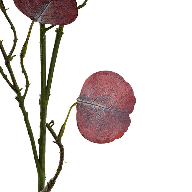 Real Touch Double Faced Eucalyptus Spray Burgundy (80cmH)