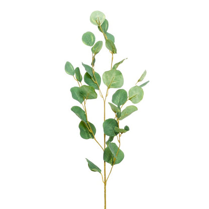 Eucalyptus Dollar Gum Spray Green (90cmH)