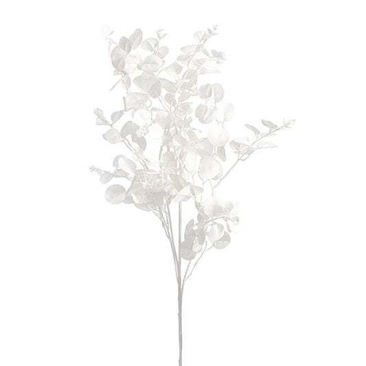Eucalyptus Dollar Gum Spray White (80cmH)