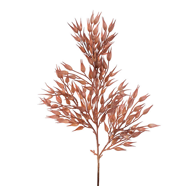 Coix Seed Grass Spray Almond (65cmH)