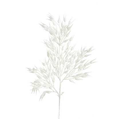 Coix Seed Grass Spray White (65cmH)