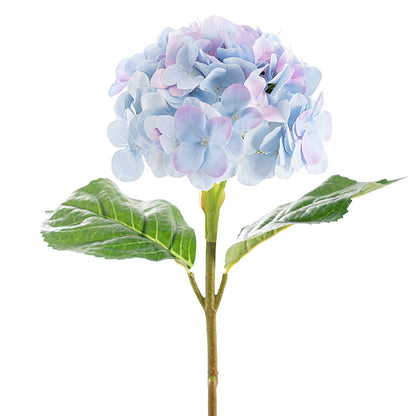 Annabelle Hydrangea Stem Soft Blue Purple (19cmDx55cmH)