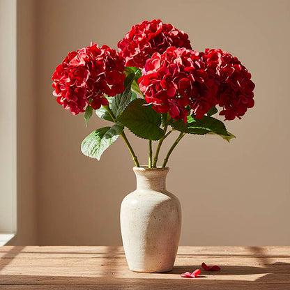 Annabelle Hydrangea Stem Dark Red (19cmDx55cmH)