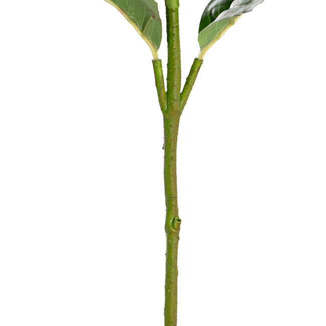 Annabelle Hydrangea Stem Dark Red (19cmDx55cmH)