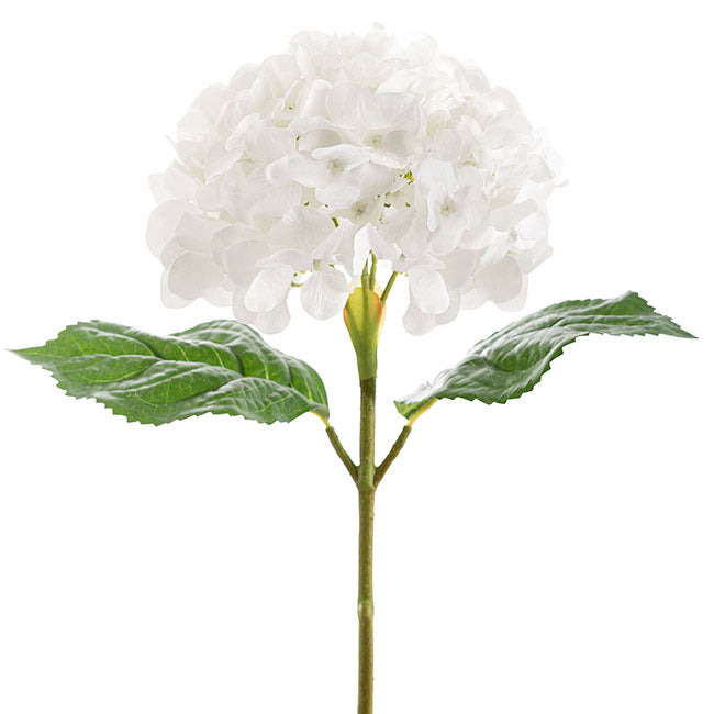 Annabelle Hydrangea Stem White (19cmDx55cmH)