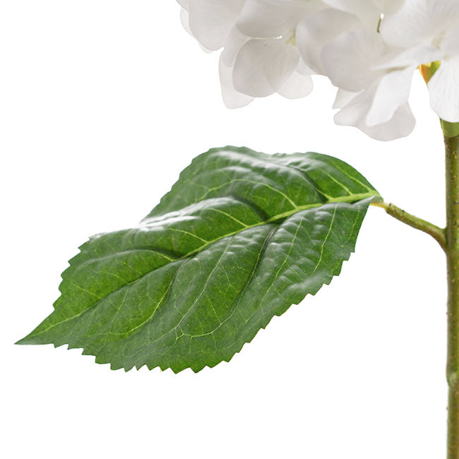 Annabelle Hydrangea Stem White (19cmDx55cmH)