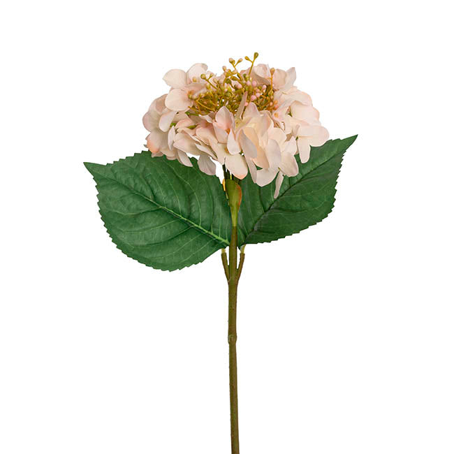Budding Real Touch Hydrangea Stem Cream Peach (18cmDx70cmH)