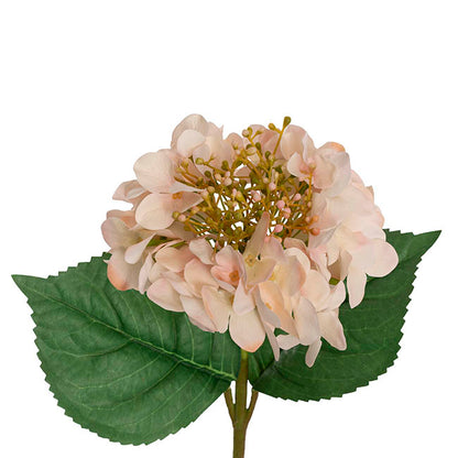 Budding Real Touch Hydrangea Stem Cream Peach (18cmDx70cmH)