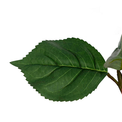 Budding Real Touch Hydrangea Stem Cream Peach (18cmDx70cmH)