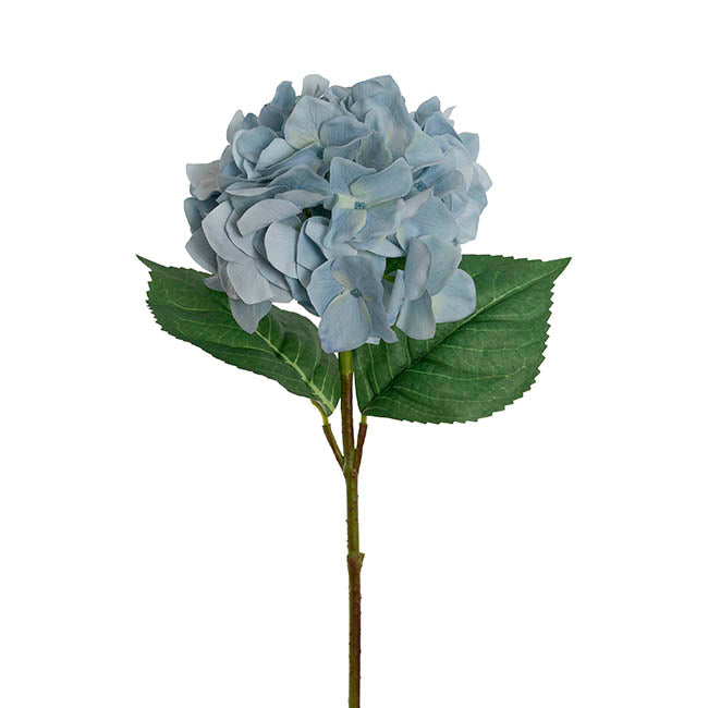 Royal Hydrangea Stem Blue Green (18cmDx78cmH)