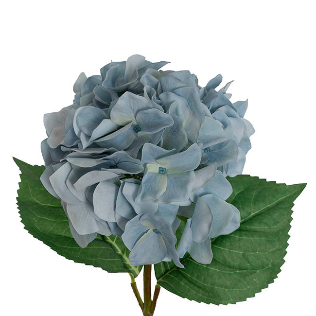 Royal Hydrangea Stem Blue Green (18cmDx78cmH)