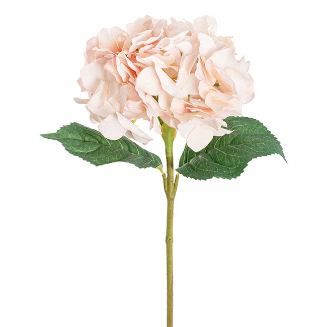 Royal Hydrangea Stem Soft Blush Pink (18cmDx78cmH)