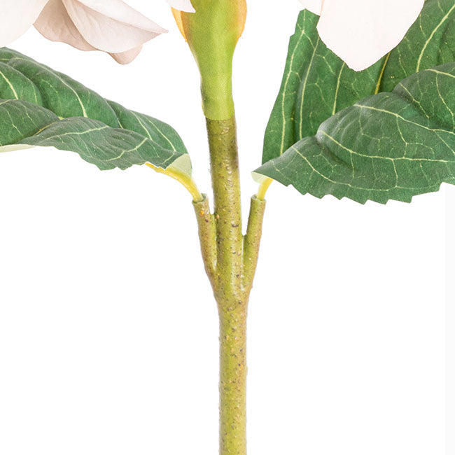 Royal Hydrangea Stem Soft Blush Pink (18cmDx78cmH)