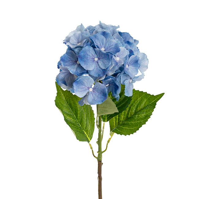 Eldorado Hydrangea Stem French Blue (18cmDx64cmH)