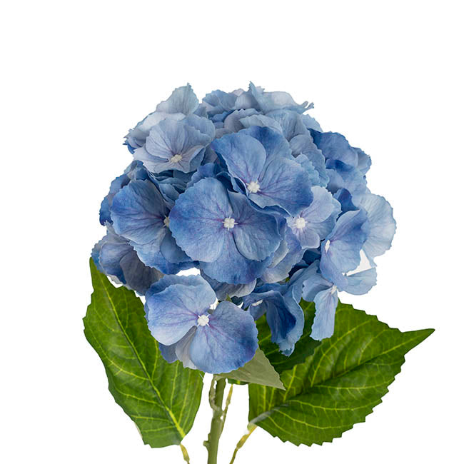 Eldorado Hydrangea Stem French Blue (18cmDx64cmH)
