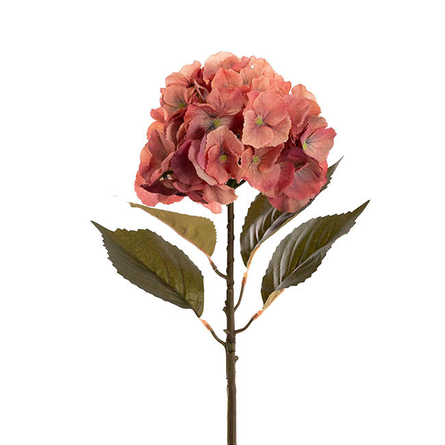 Eldorado Hydrangea Stem Rustic Coral (18cmDx64cmH)
