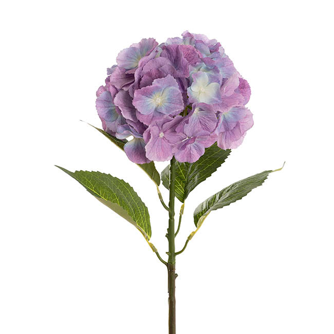Eldorado Hydrangea Stem Cream Violet (18cmDx64cmH)