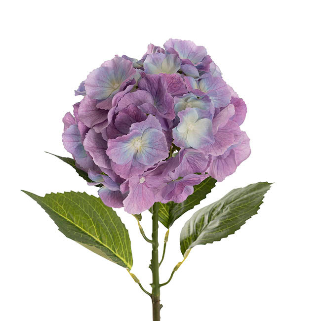 Eldorado Hydrangea Stem Cream Violet (18cmDx64cmH)
