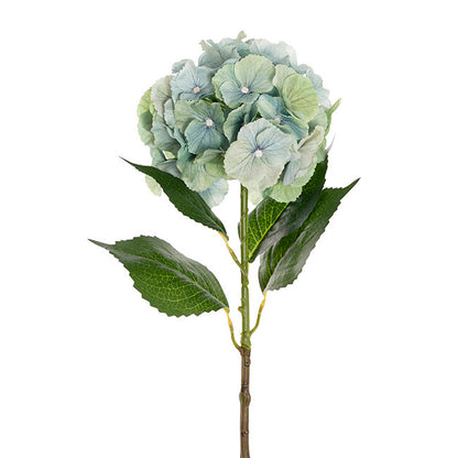 Eldorado Hydrangea Stem Green (18cmDx64cmH)